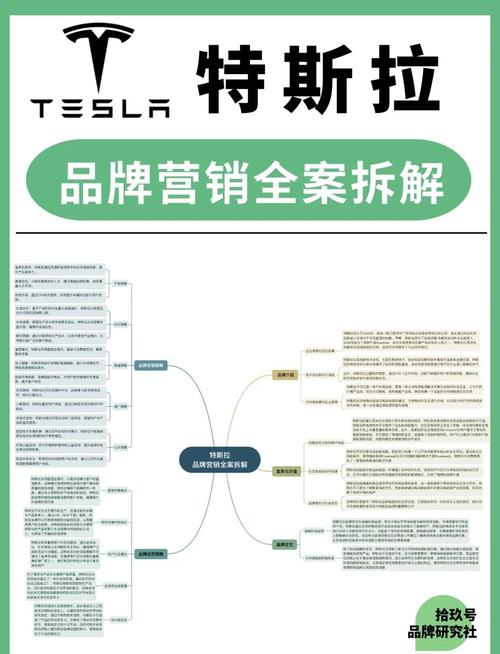 重庆沙坪坝区梦翔商务信息咨询特斯拉的市场竞争力分析优势与挑战(特斯拉的市场竞争力技术创新与品牌优势)